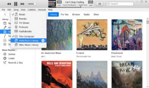 iTunes Music Library