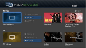 Browsers for Roku