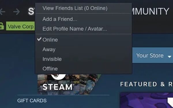 Appear Offline in Steam