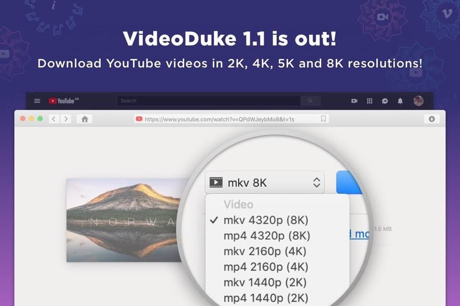 VideoDuke : Mac Video Downloader