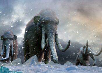 Colossal Biosciences: Preventing Climate Change by Reviving Woolly Mammoths